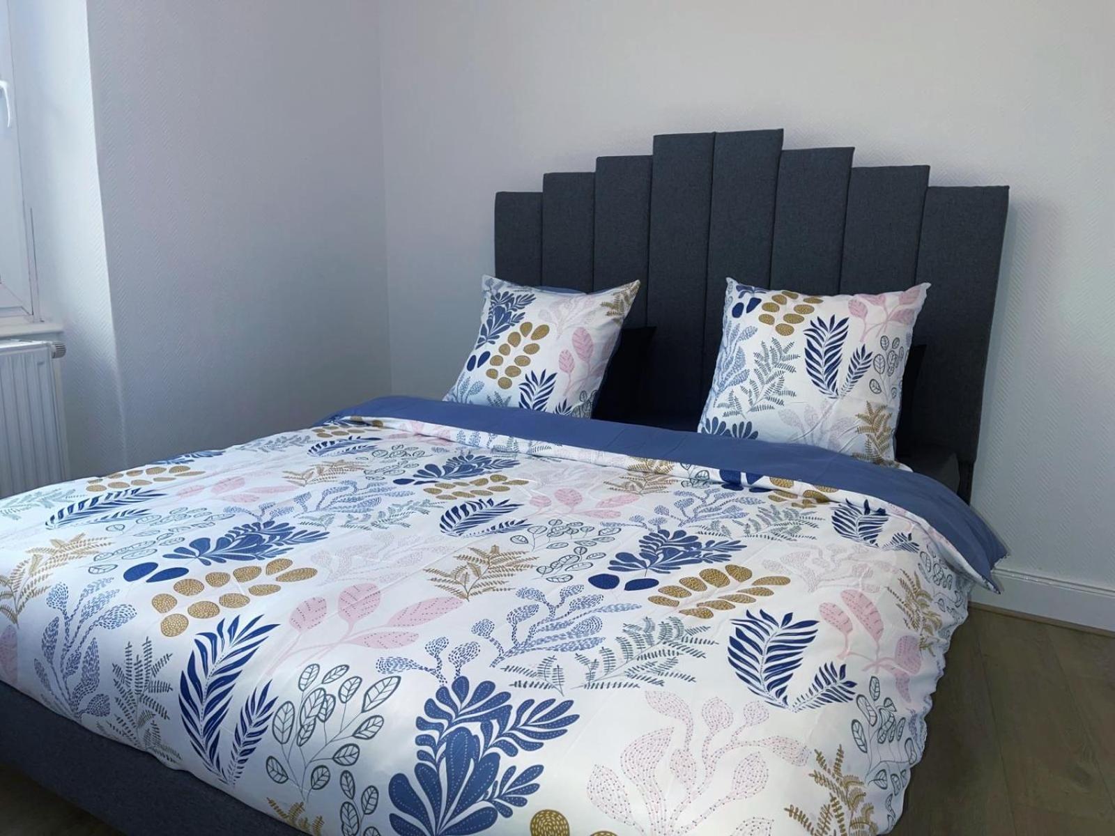 Magnifique Appartement Charmant T3 80M2 Parking Gratuit Rosheim ภายนอก รูปภาพ